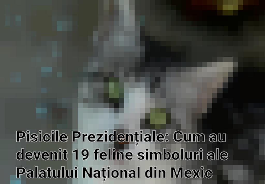 Pisicile Prezidențiale: Cum au devenit 19 feline simboluri ale Palatului Național din Mexic Imagini
