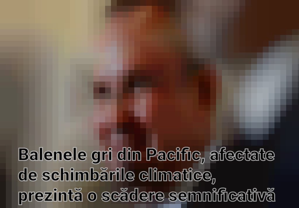 Balenele gri din Pacific, afectate de schimbările climatice, prezintă o scădere semnificativă în dimensiuni