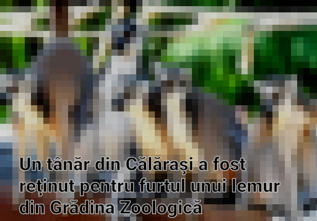 Un tânăr din Călăraşi a fost reţinut pentru furtul unui lemur din Grădina Zoologică