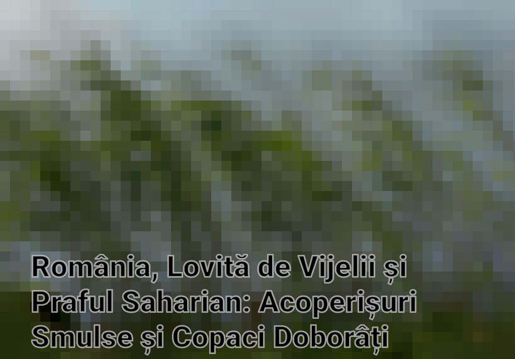 România, Lovită de Vijelii și Praful Saharian: Acoperișuri Smulse și Copaci Doborâți