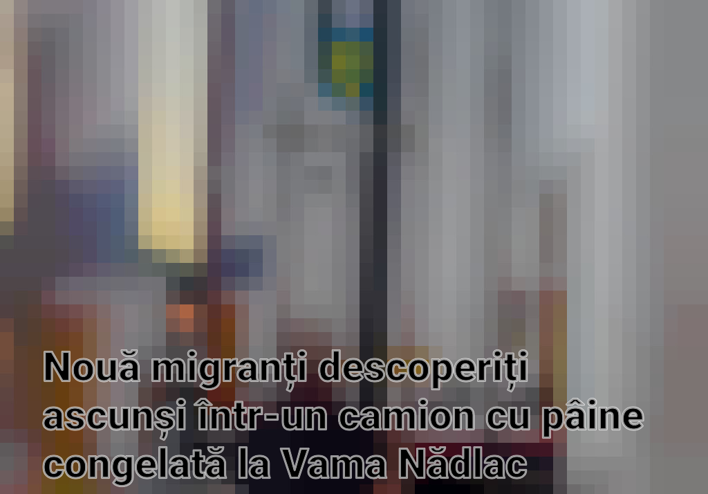 Nouă migranți descoperiți ascunși într-un camion cu pâine congelată la Vama Nădlac
