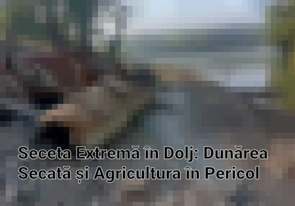 Seceta Extremă în Dolj: Dunărea Secată și Agricultura în Pericol