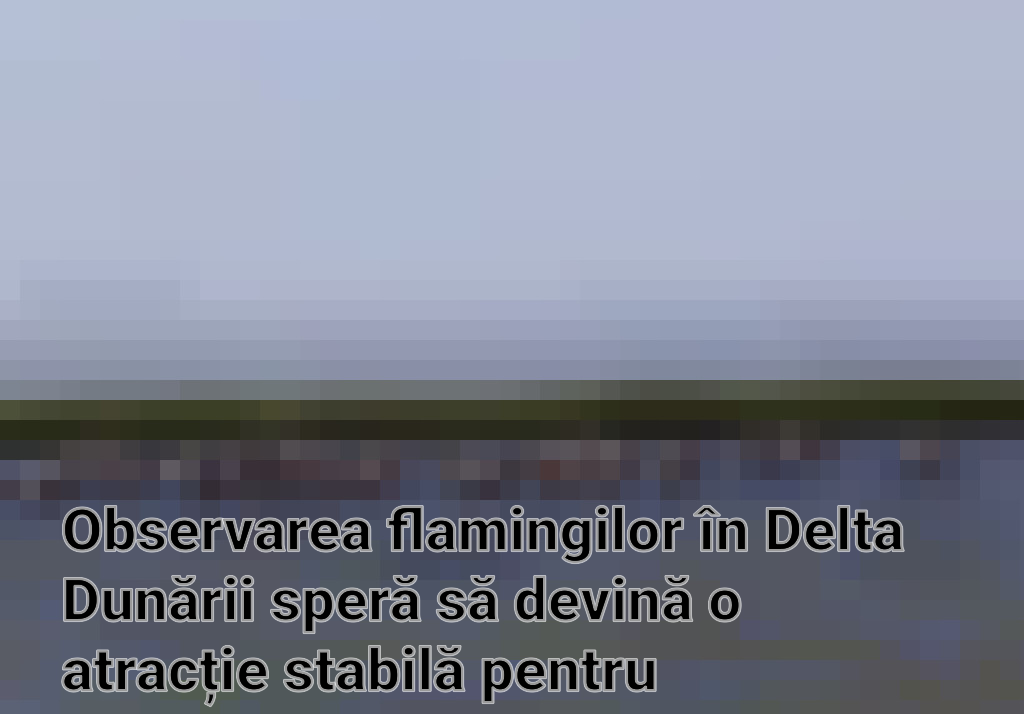 Observarea flamingilor în Delta Dunării speră să devină o atracție stabilă pentru biodiversitate Imagini