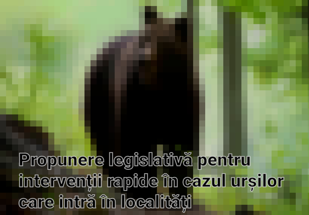 Propunere legislativă pentru intervenții rapide în cazul urșilor care intră în localități