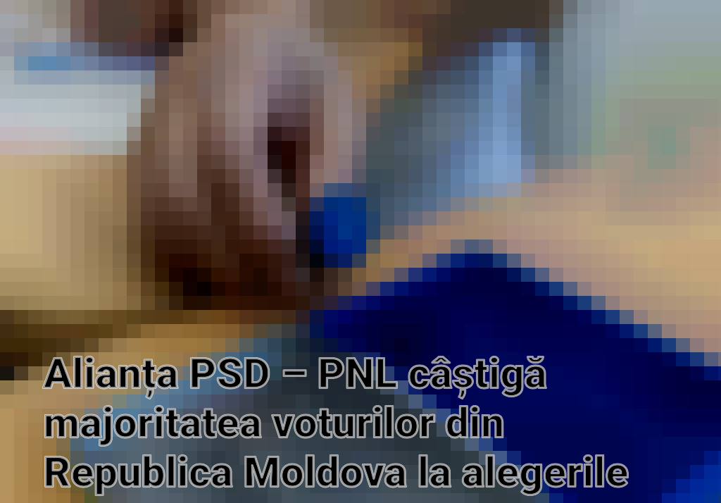 Alianța PSD – PNL câștigă majoritatea voturilor din Republica Moldova la alegerile europarlamentare Imagini
